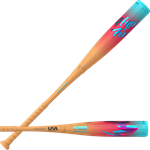 Easton Hype Fire USA Bat, -10