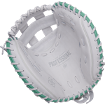Easton Professional Collection 34 Fastpitch  Glove, Catcher
