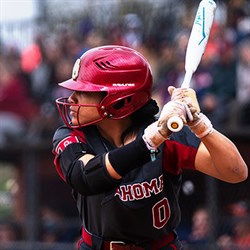 All Association Fastpitch Image