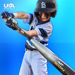 USA Baseball Image